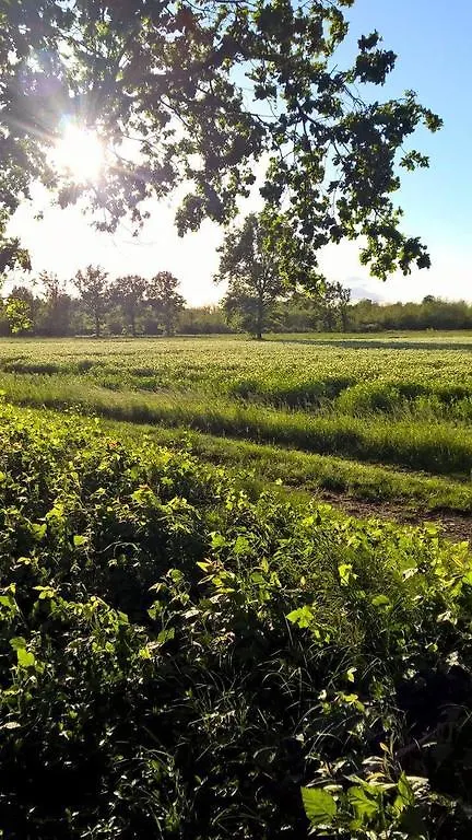 Фермерский дом Agriturismo La Forestina Villa Cisliano